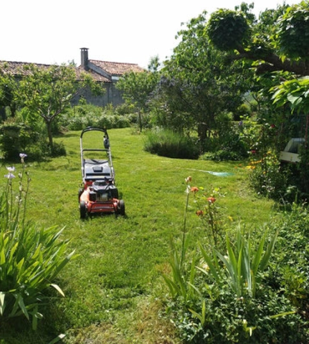 Un service <span>professionnel et rapide</span>